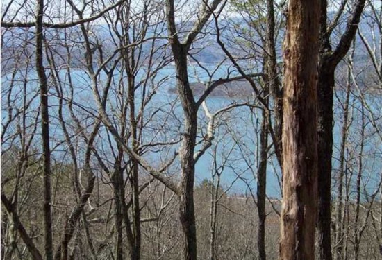 5 Acres of Land for Sale in marion County Tennessee