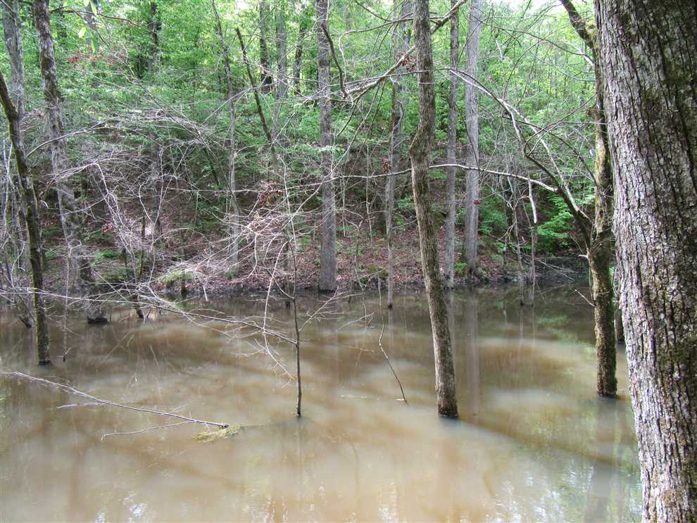45 Acres of Residential land for sale in Hope, hempstead County, Arkansas