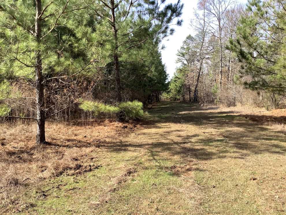 131 Acres of Recreational land for sale in Shongaloo, webster County, Louisiana
