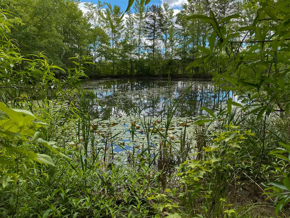 225 Acres of Residential land for sale in Roxboro, person County, North Carolina