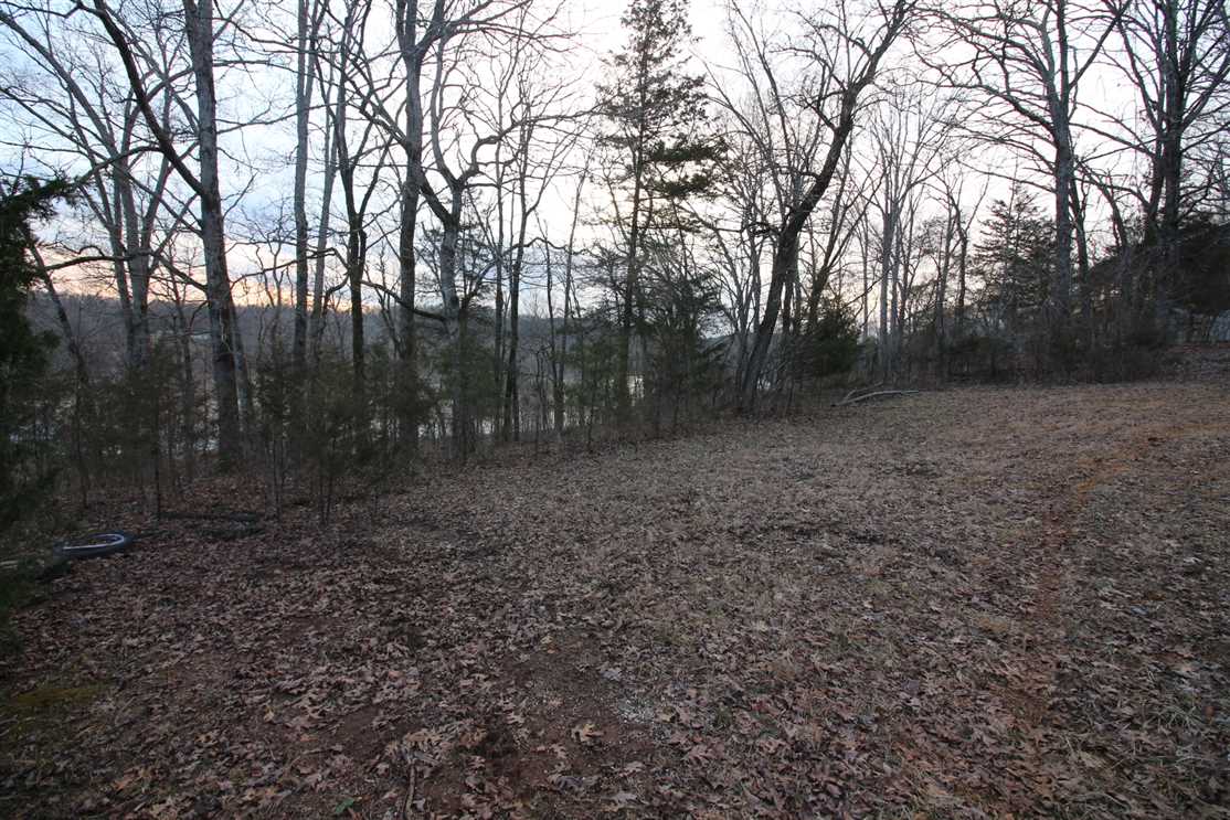 Current River Frontage Lot For Sale in Van Buren, Missouri, Carter County Real estate listing
