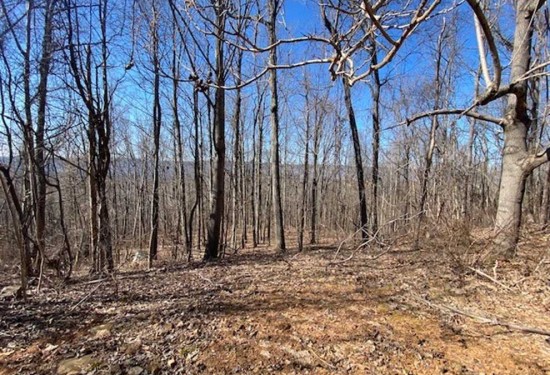 200 Acres of Land for Sale in marion County Tennessee