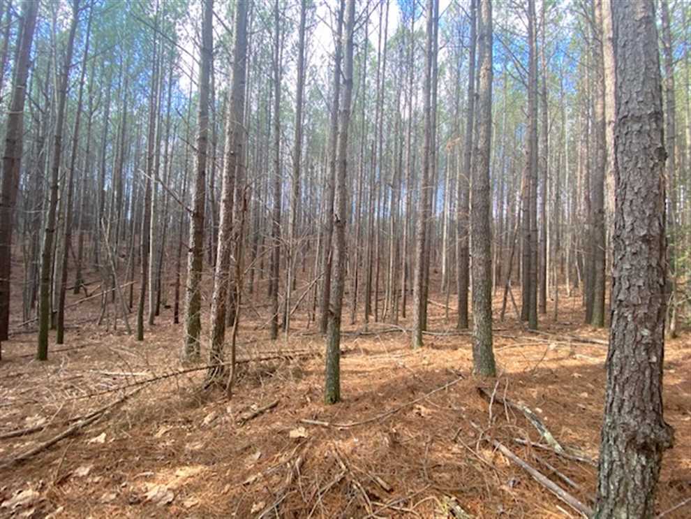 5 Acres of Residential land for sale in South Pittsburg, marion County, Tennessee