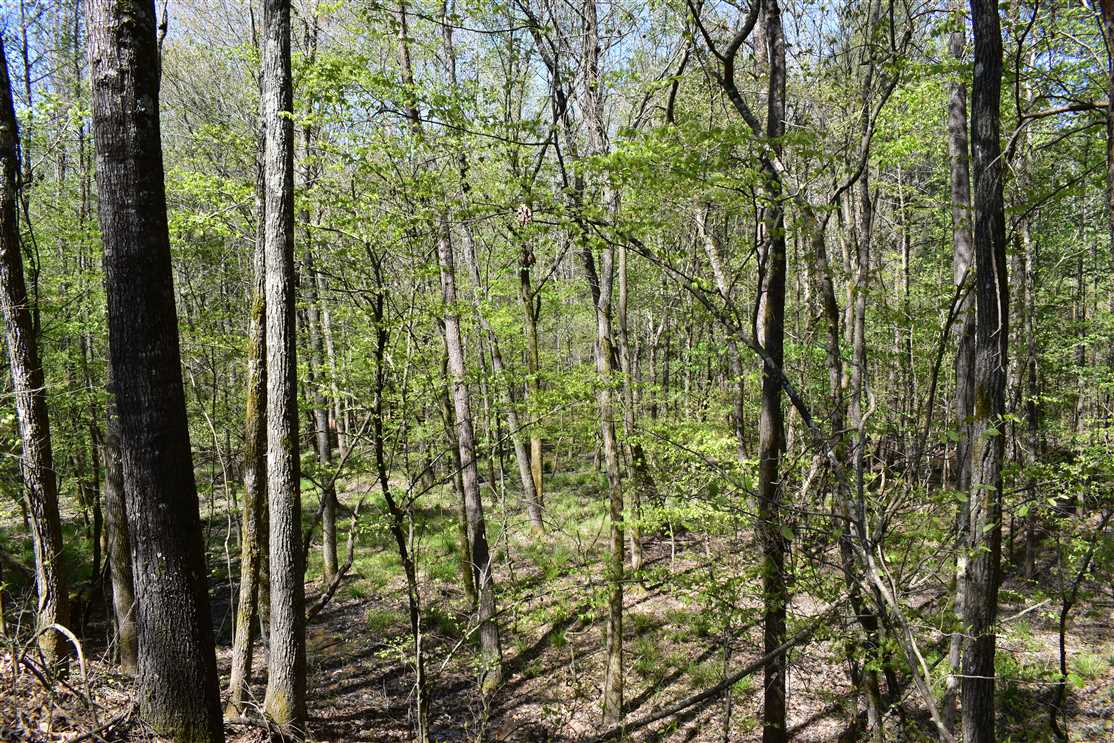 Houses and land for sale in Arkansas