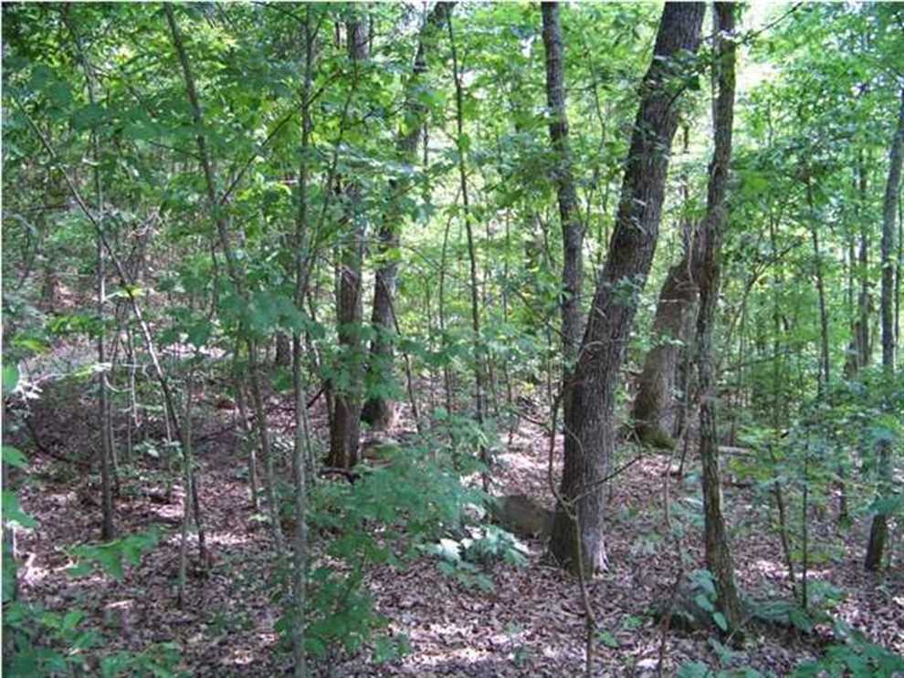 5 Acres of Land for sale in marion County, Tennessee