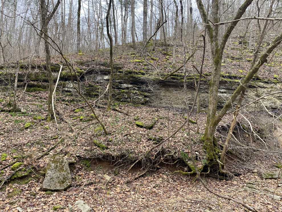 38.88 Acres of Recreational land for sale in Fifty-Six, stone County, Arkansas