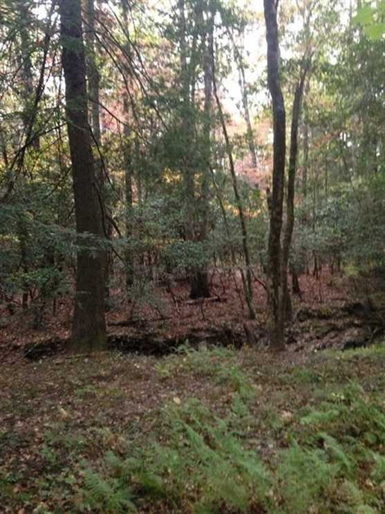 Land for sale at 625 Gizzard Creek Road
