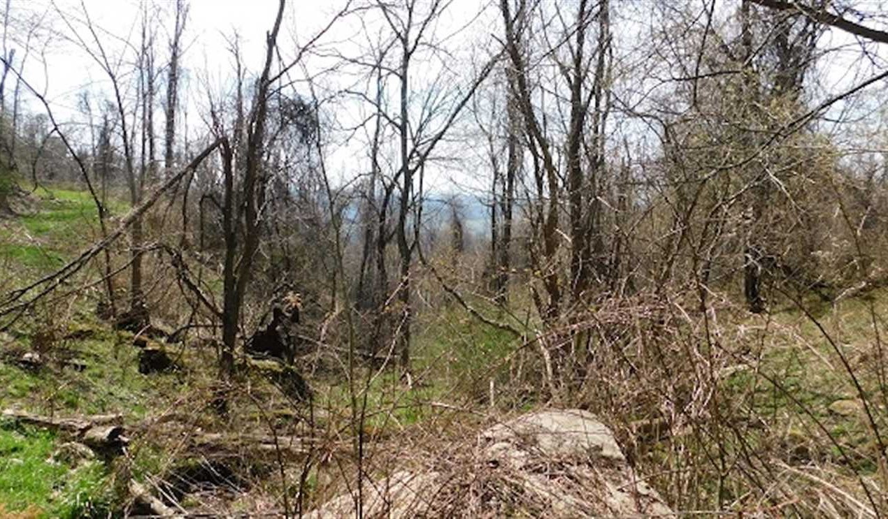 property for sale on The Land Market