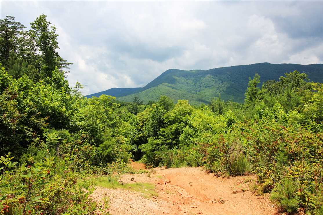 Residential and   property for sale on The Land Market