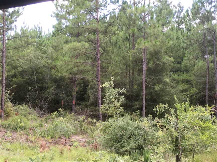 Recreational and   property for sale on The Land Market