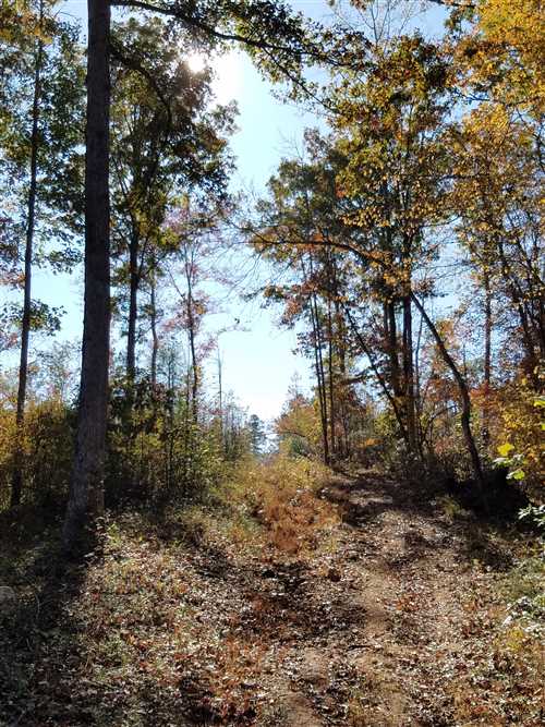 76.6 Acres of Land for sale in york County, South Carolina