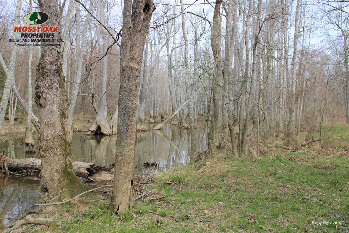 Land for sale to buy in  zip code