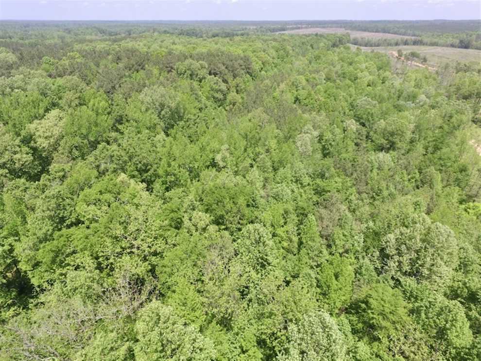 13.2 Acres of Land for sale in brunswick County, Virginia