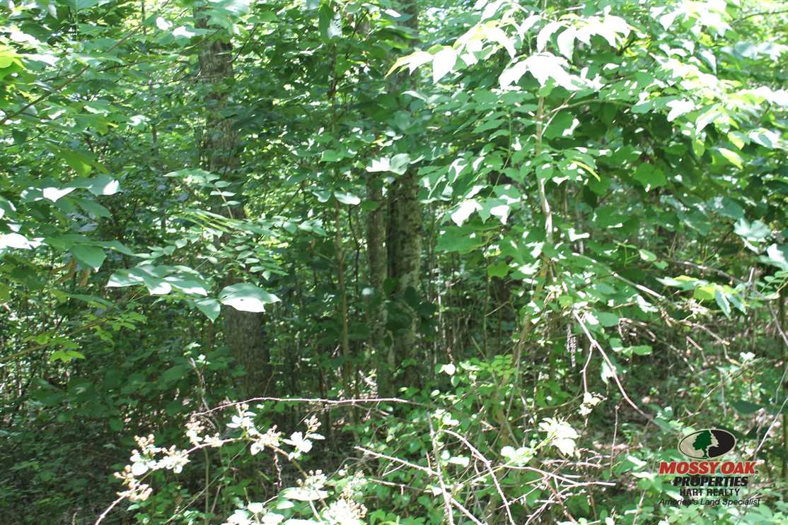 taylor County, Kentucky property for sale