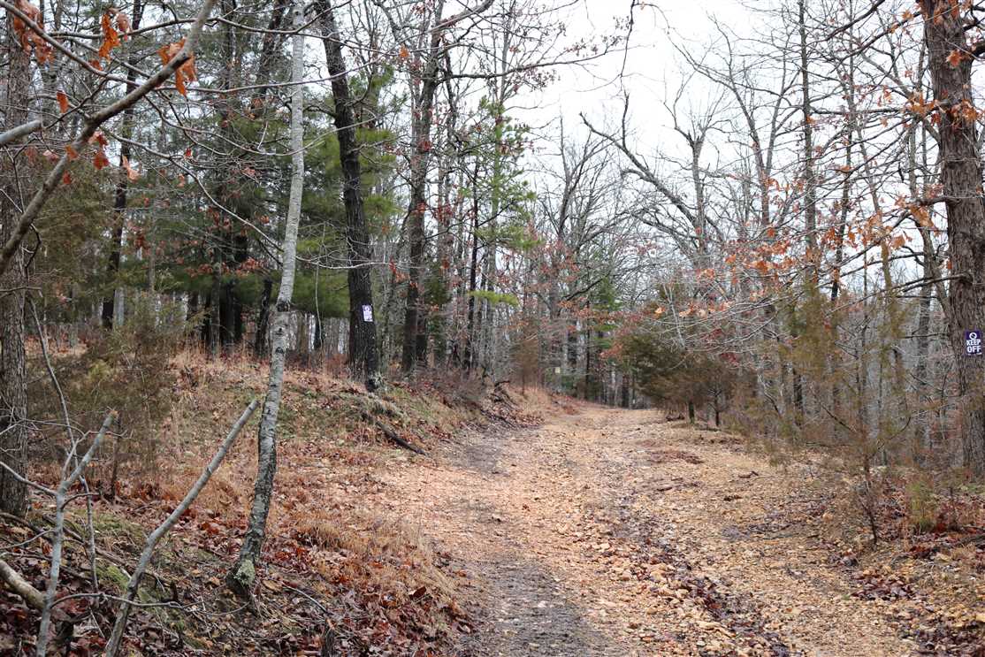 Timberland real estate available to buy
