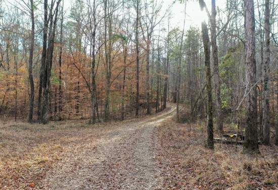 584 Acres of Land for Sale in elmore County Alabama