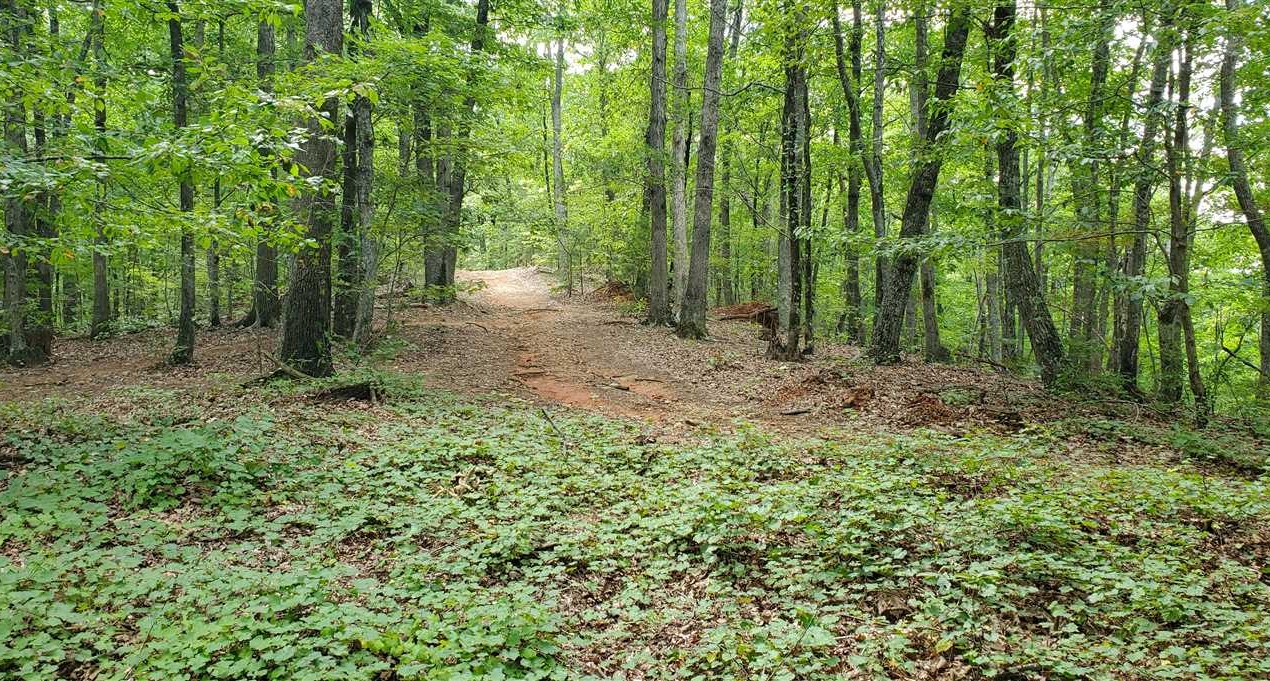 Residential land real estate to buy in rutherford County NC