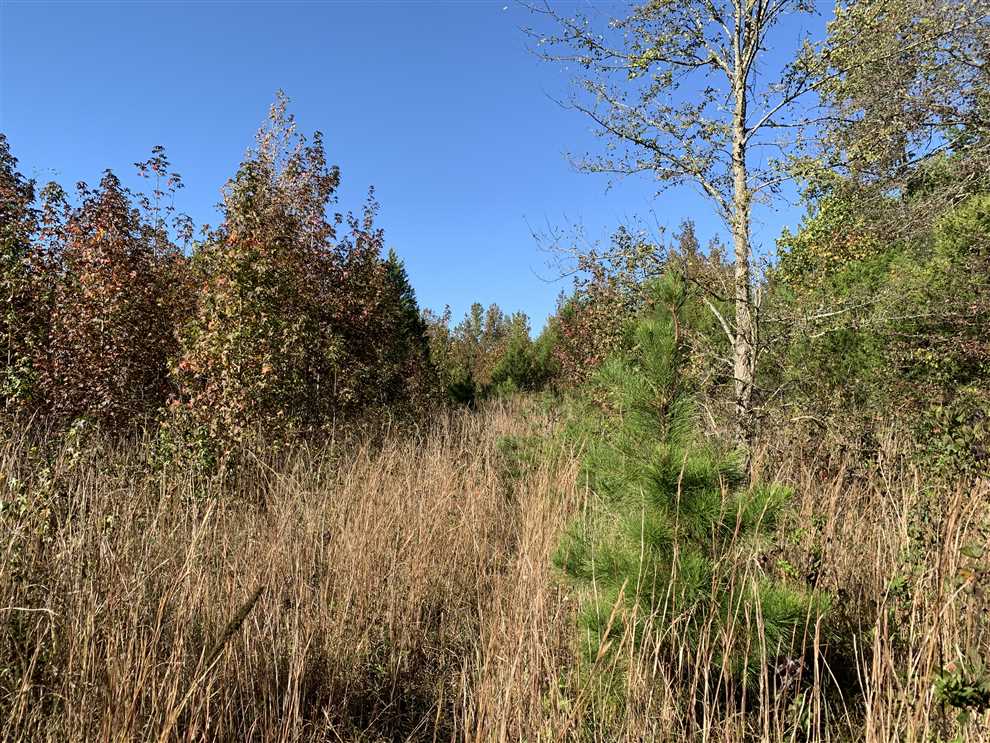Property for sale at