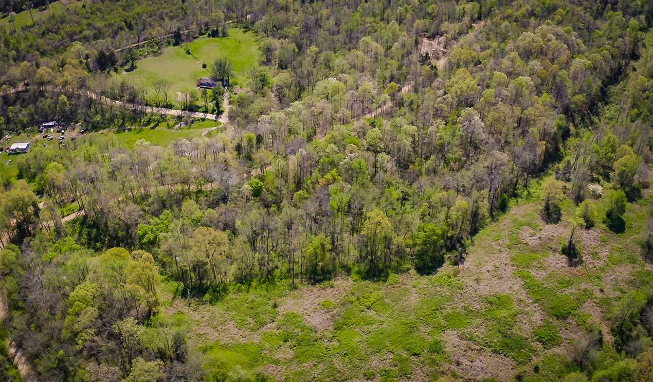 Parthenon land available for purchase