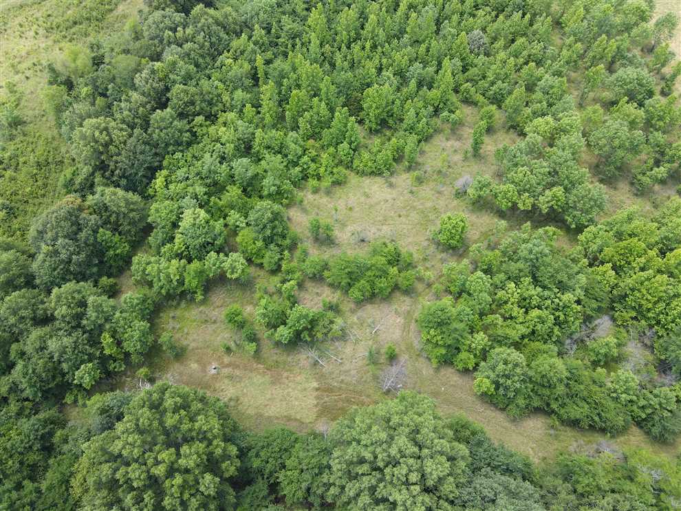 prairie County, Arkansas property for sale