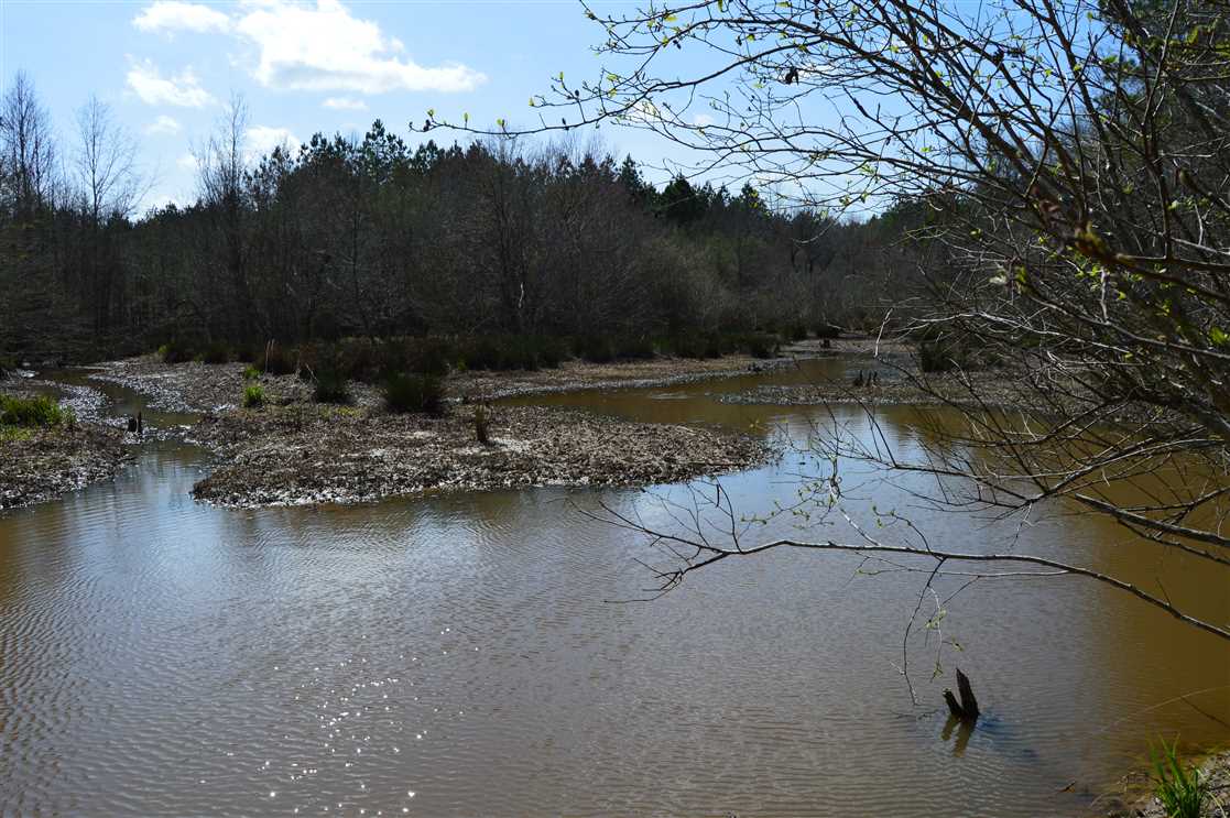 montgomery County, Mississippi property for sale