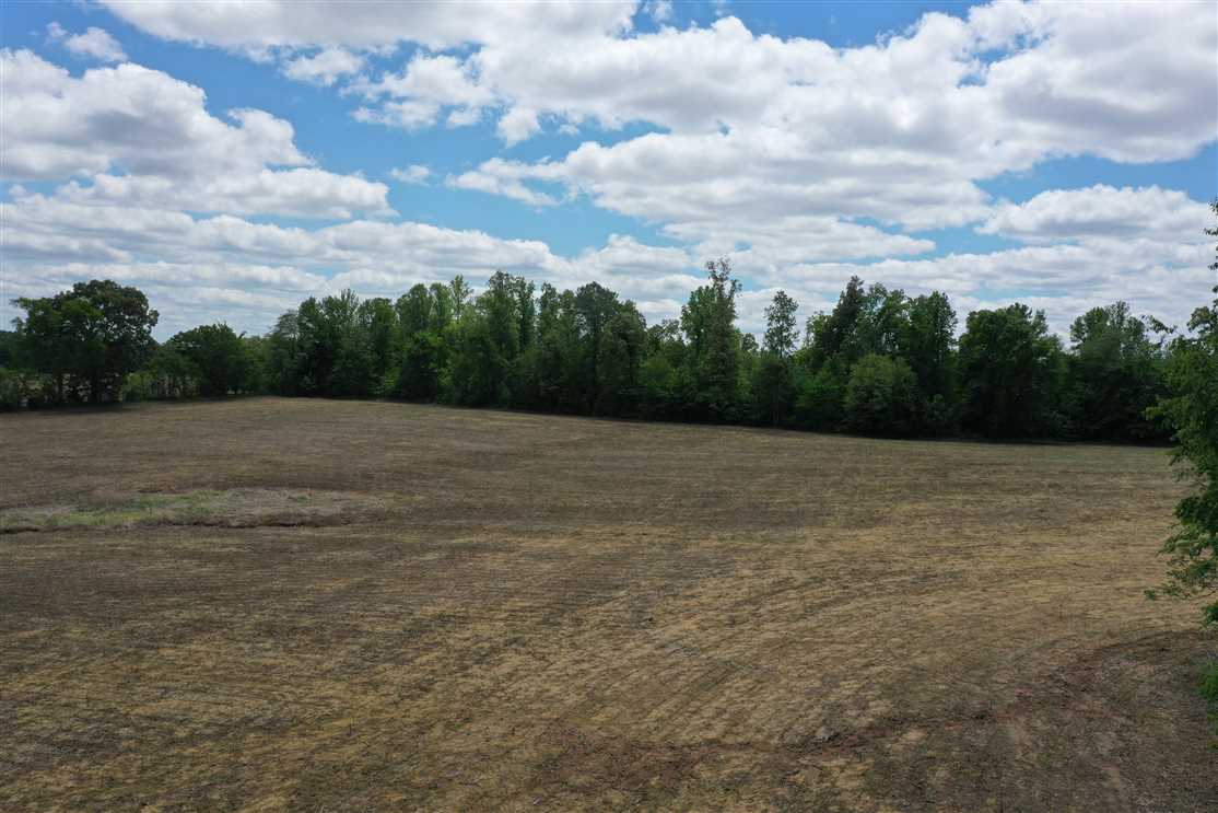 Land for sale to buy in 38242 zip code