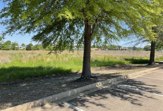 3.7 Acres of Land for Sale in clay County Mississippi