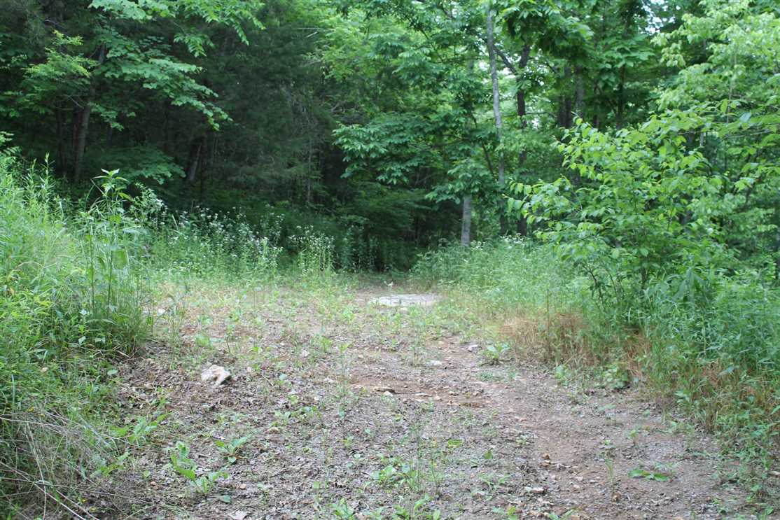 Property for sale at 0 Possum Hollow Road