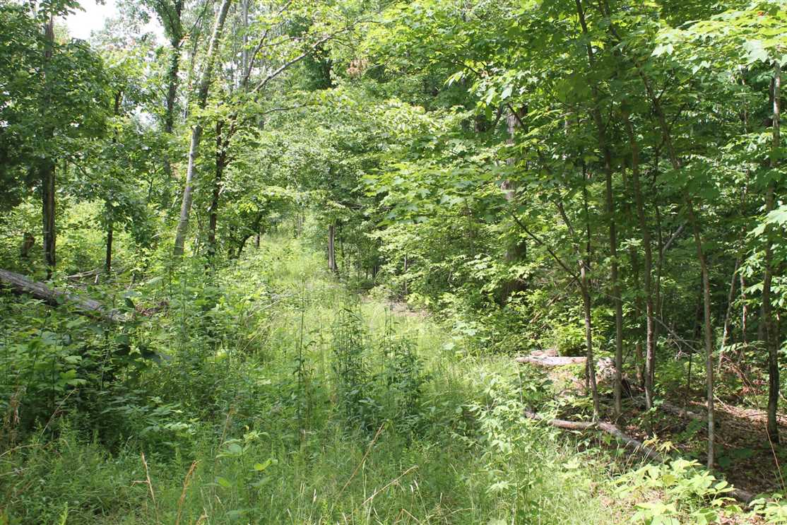 8.07 Acres of Land for sale in dekalb County, Tennessee