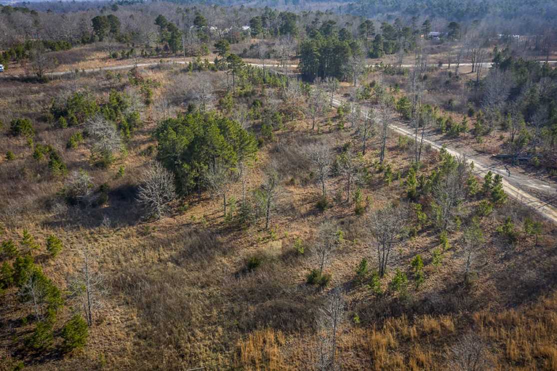 3 Ac. w/ Mountain Views - Bee Branch AR Real estate listing