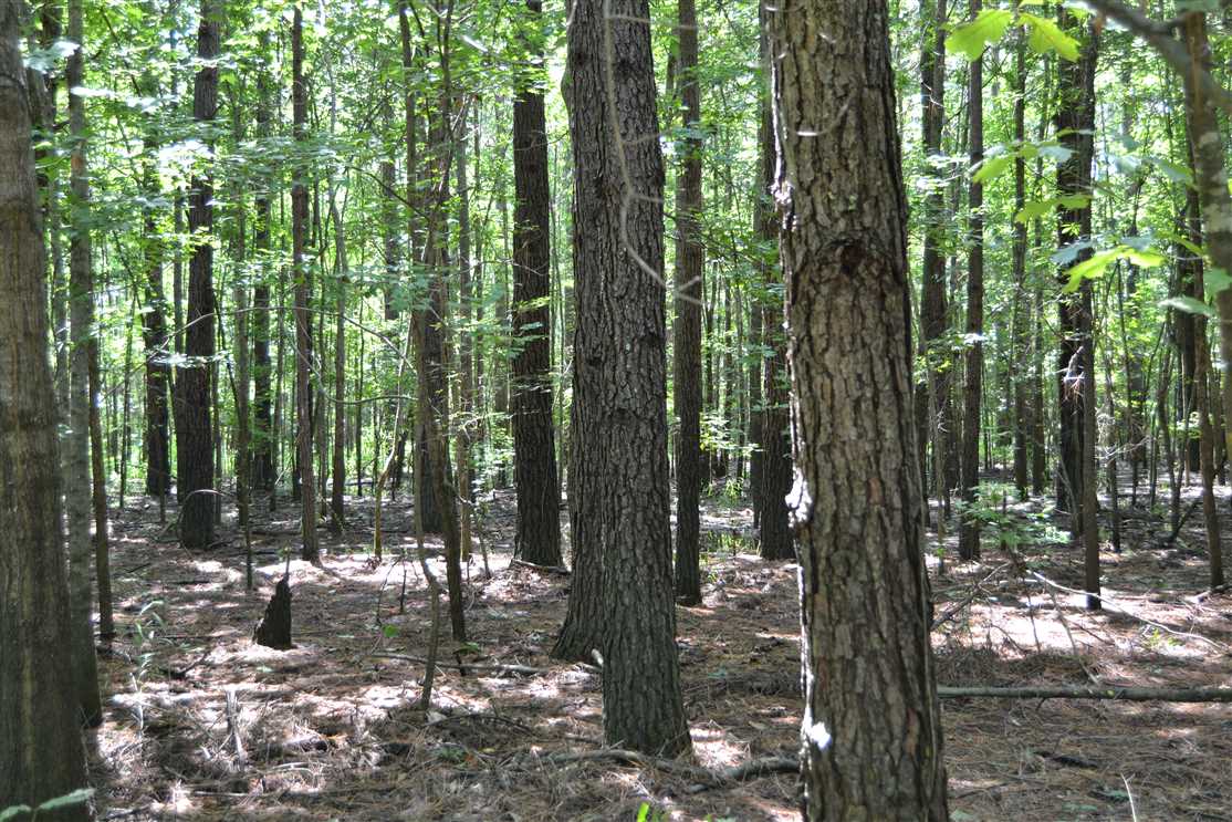 Property for sale at