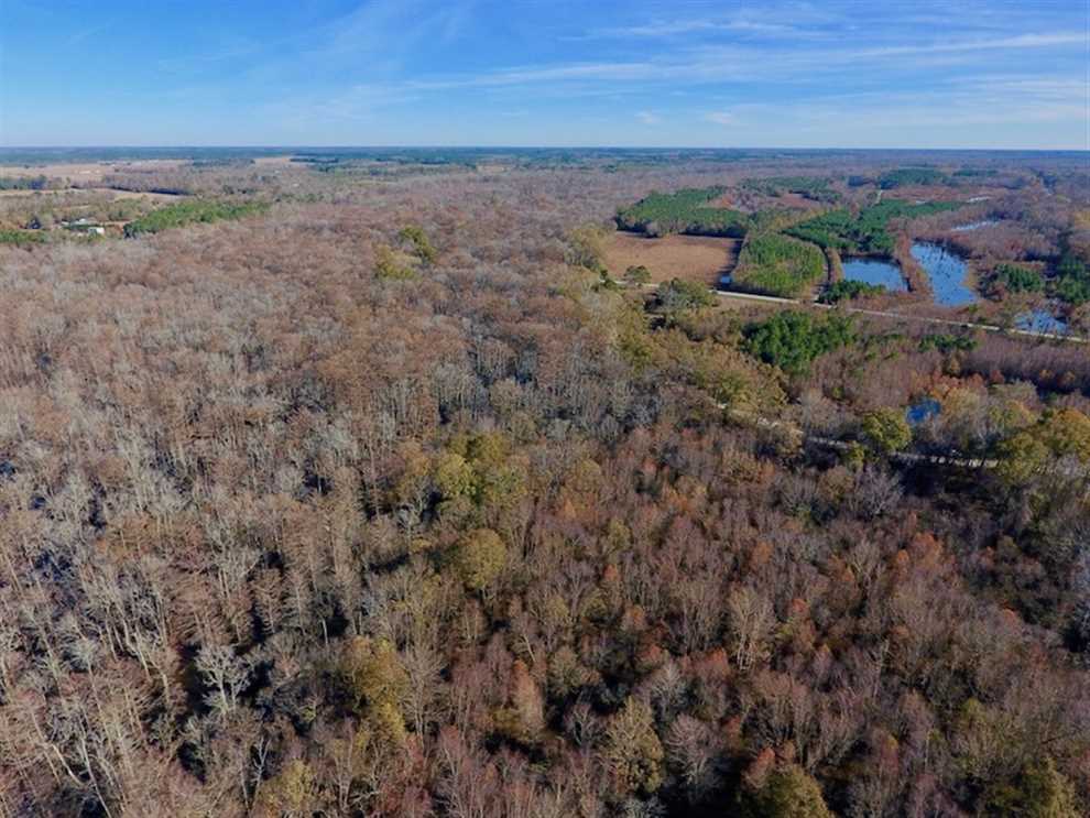 Land for sale at Off Maple Cypress Road