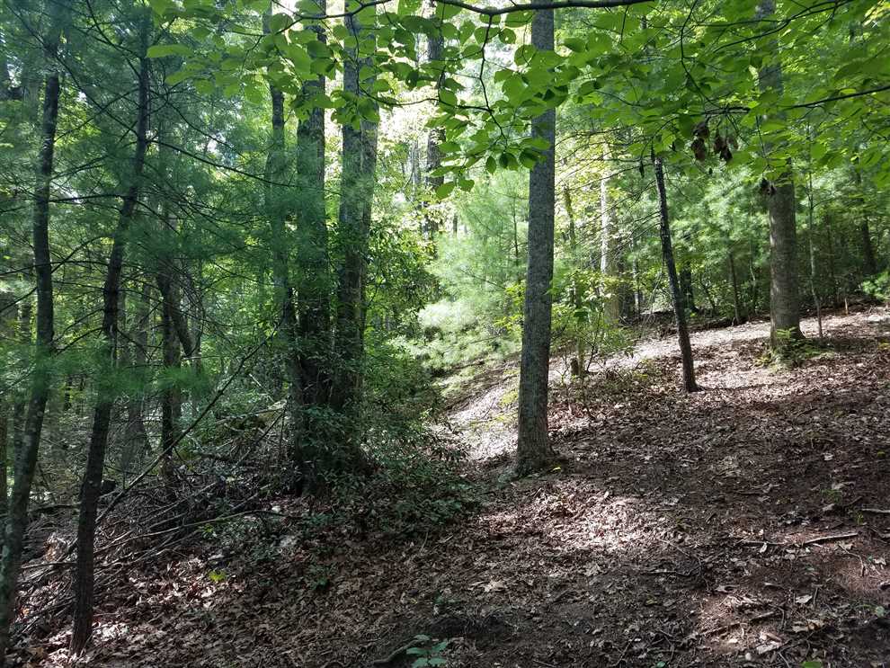 caldwell County, North Carolina property for sale