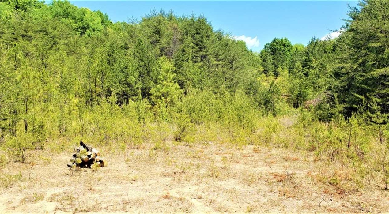 Land for sale at 4600 MORRISON CREEK RD