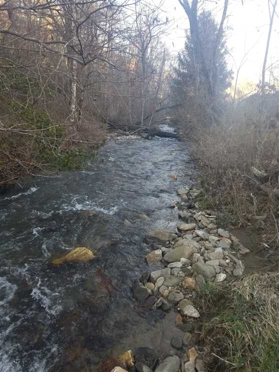 Property for sale at 00 Thomas Valley Road