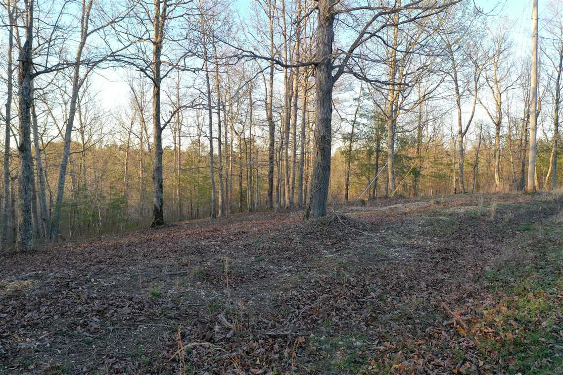 4.41 Acre lot located minutes from Kentucky Lake and Eagle Bay Marina! Real estate listing
