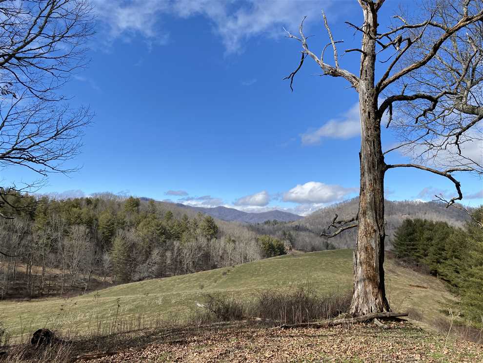 Residential and   property for sale on The Land Market