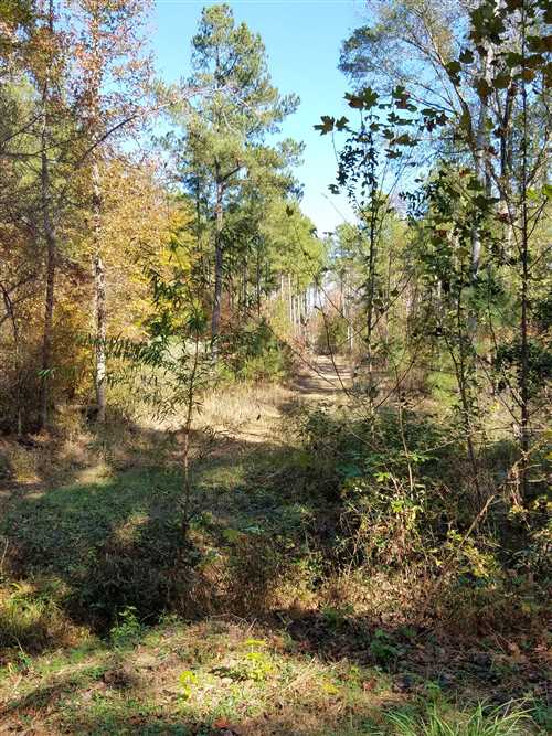 york County, South Carolina property for sale