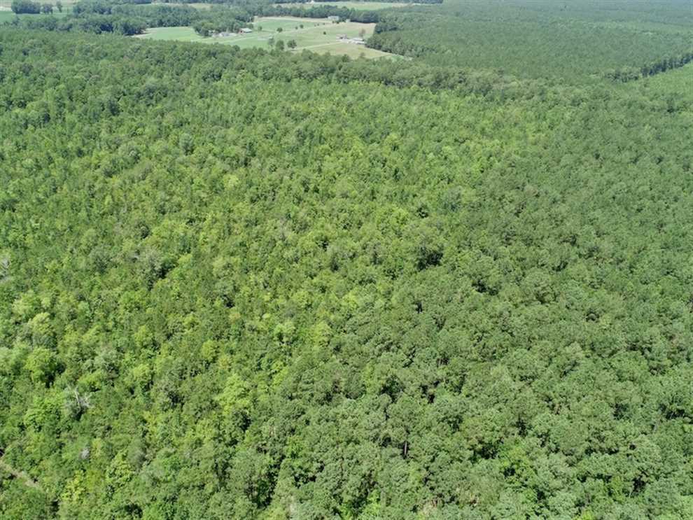 gates County, North Carolina property for sale
