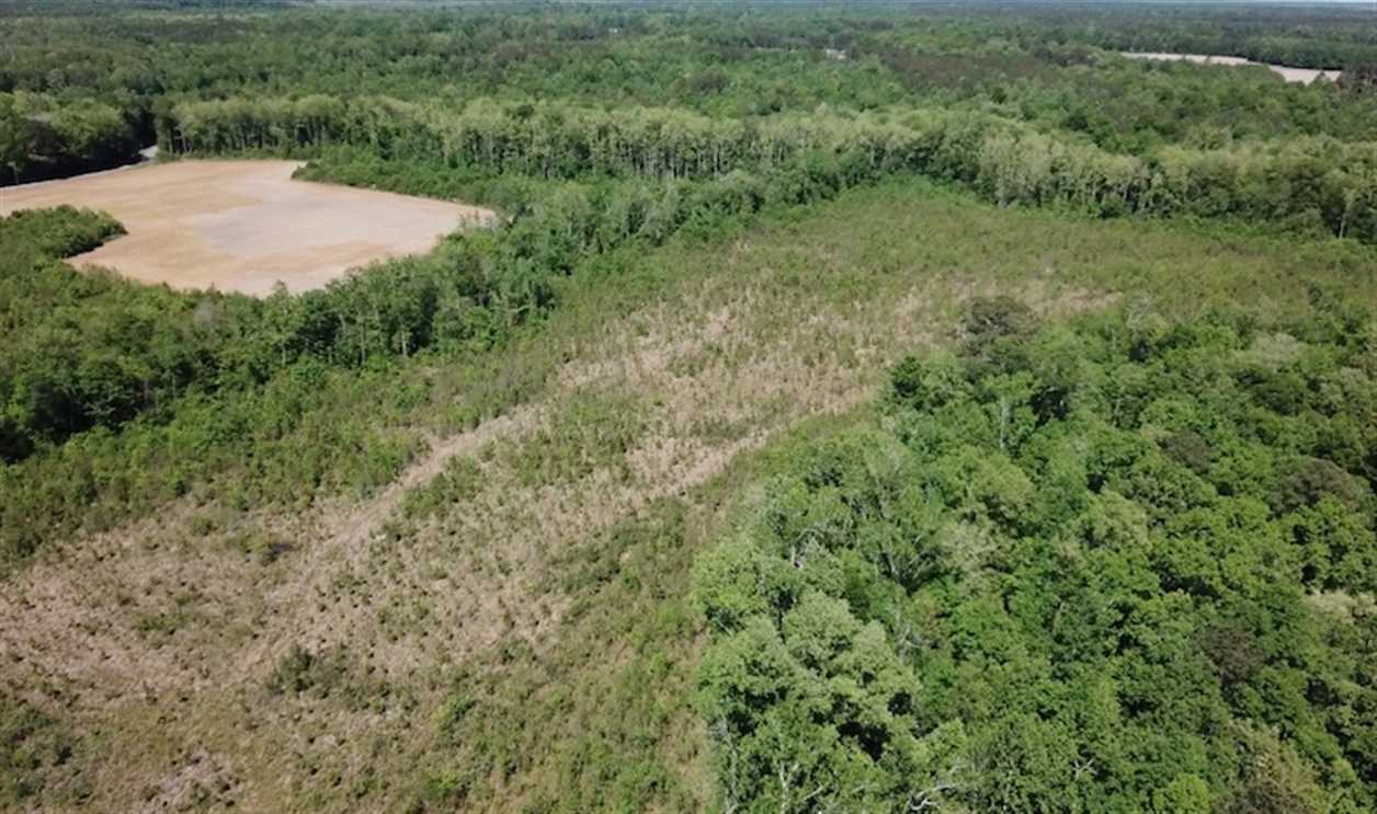 Land for sale to buy in 23437 zip code