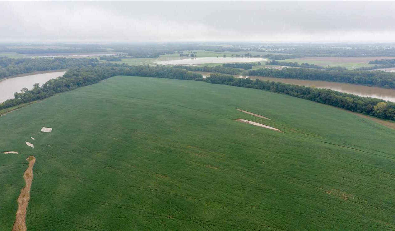 Nice Row Crop, 3 Wells, 2 Pivots, White River Frontage, Jackson County, AR Real estate listing
