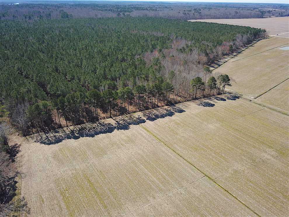 Residential and   property for sale on The Land Market