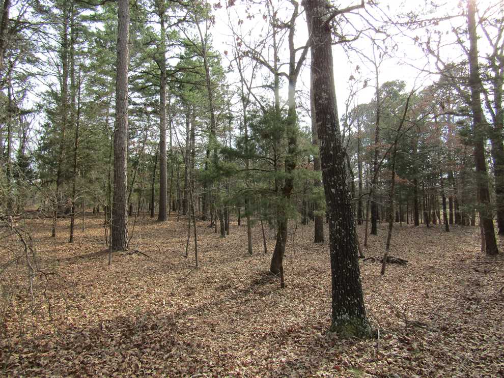 Land for sale to buy in 74523 zip code