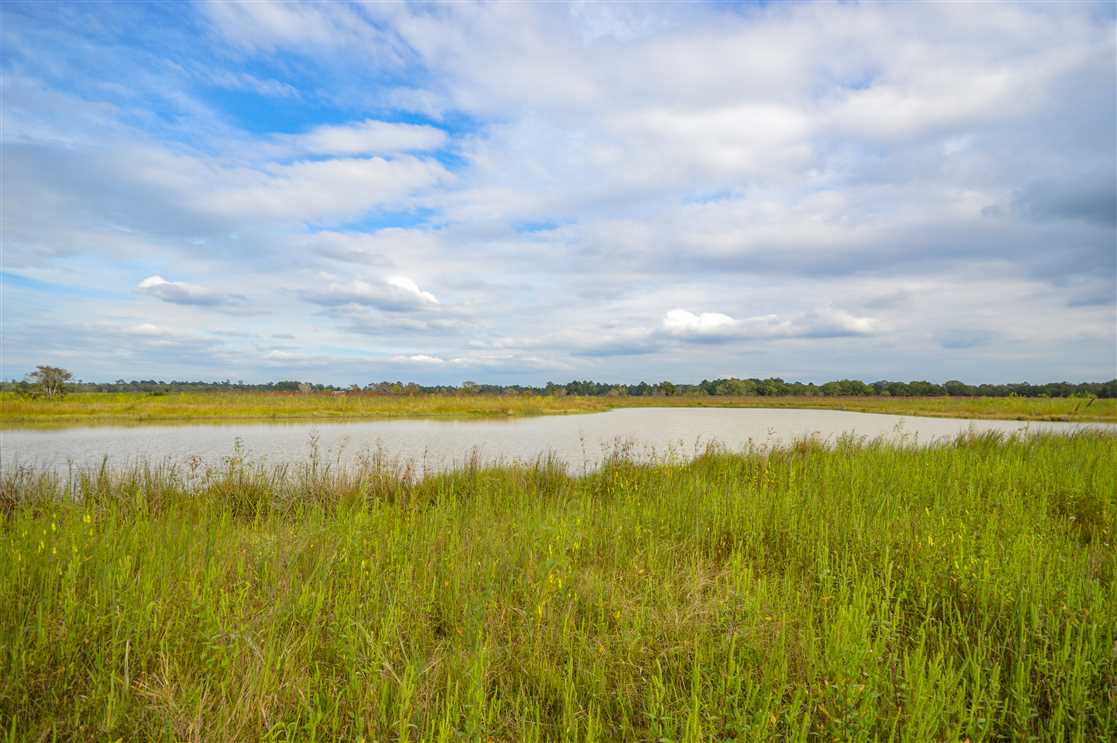 Houses and land for sale in Texas