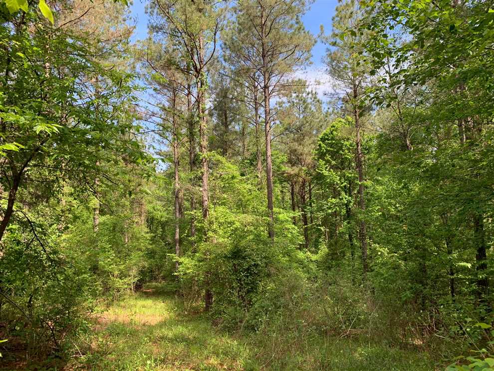 lincoln County, Louisiana property for sale