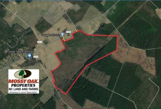 218 Acres of Land for Sale in gates County North Carolina