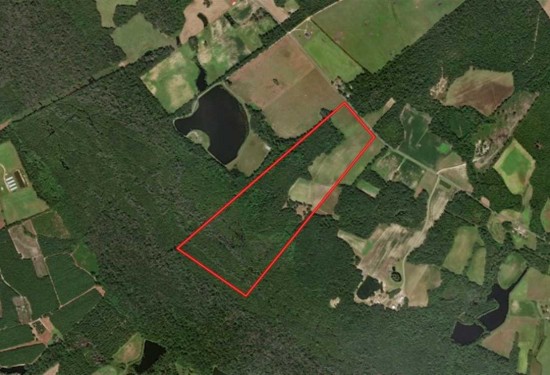 107.5 Acres of Land for Sale in robeson County North Carolina