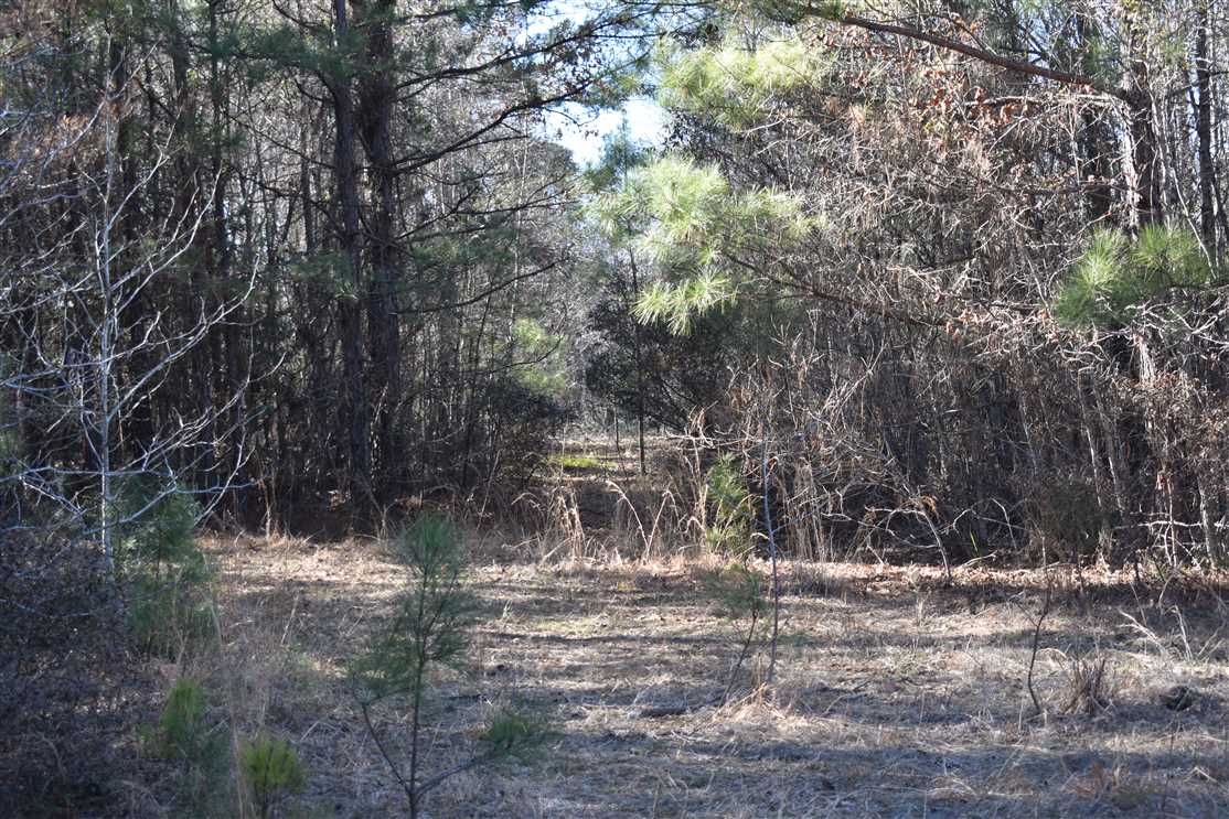 property for sale on The Land Market