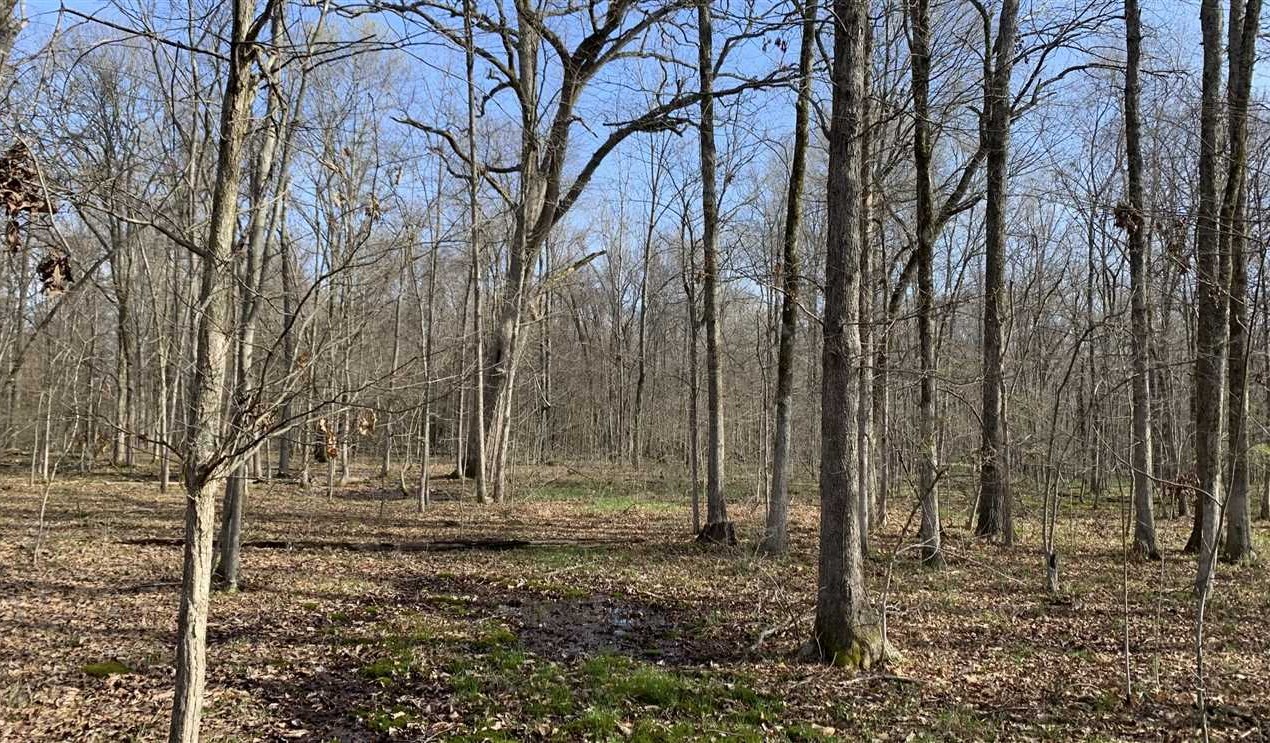 63 Acres of Land for Sale in jefferson County Arkansas