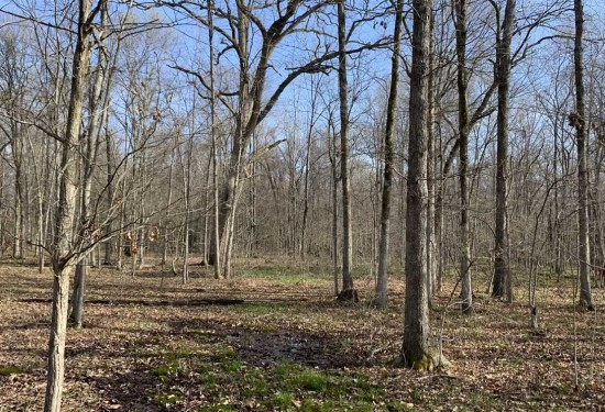 63 Acres of Land for Sale in jefferson County Arkansas